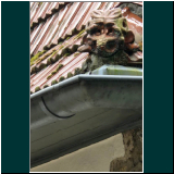 WhatsApp Image 2024-06-13 at 07.44.43(2).jpg